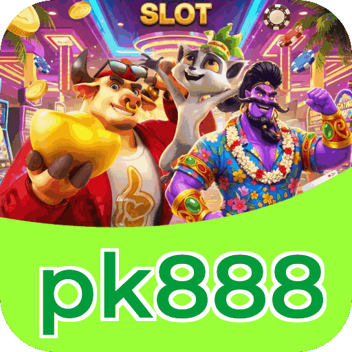 Interface pk888